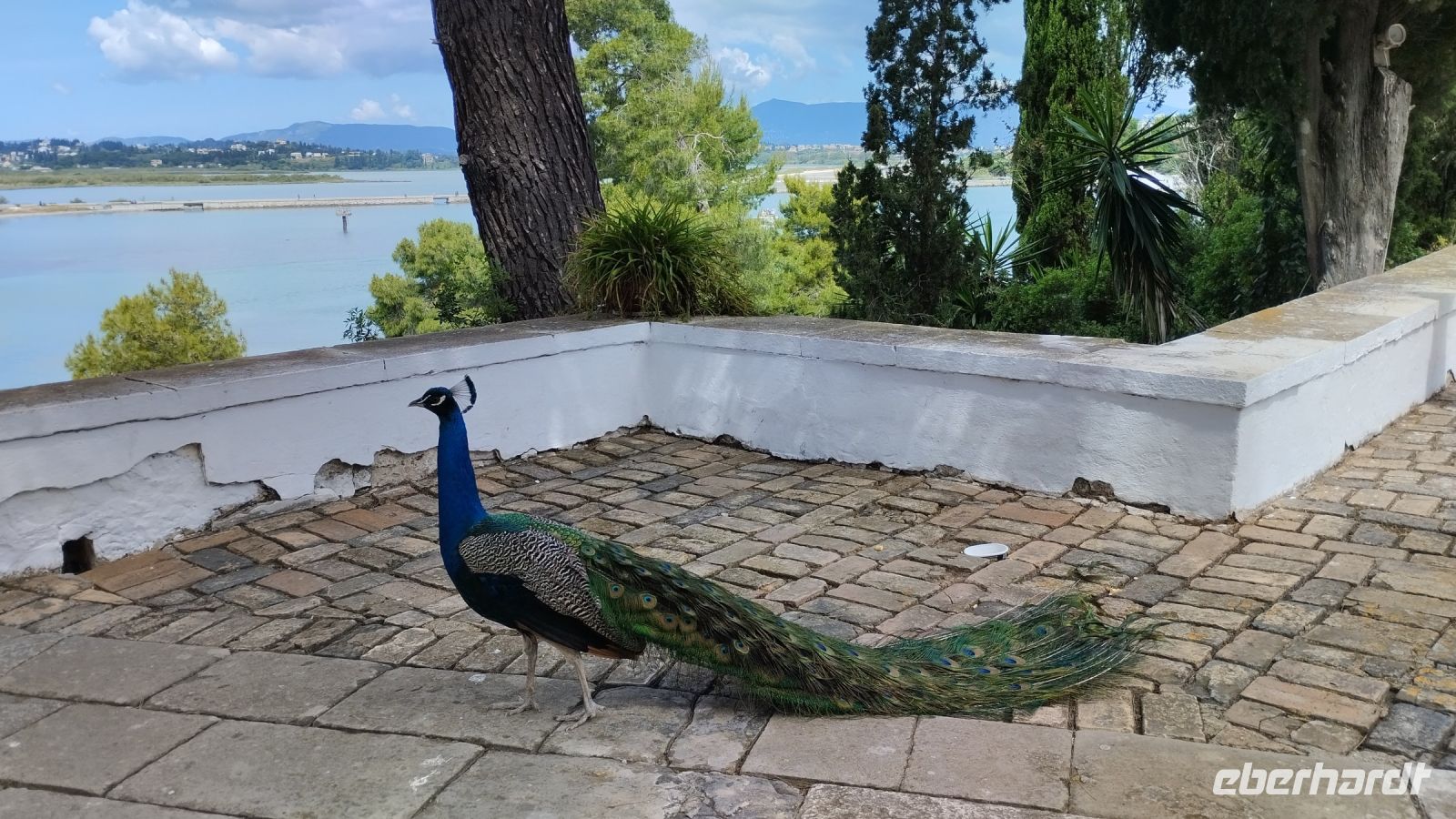 auf der Mäuseinsel