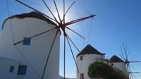 die berühmten Windmühlen
