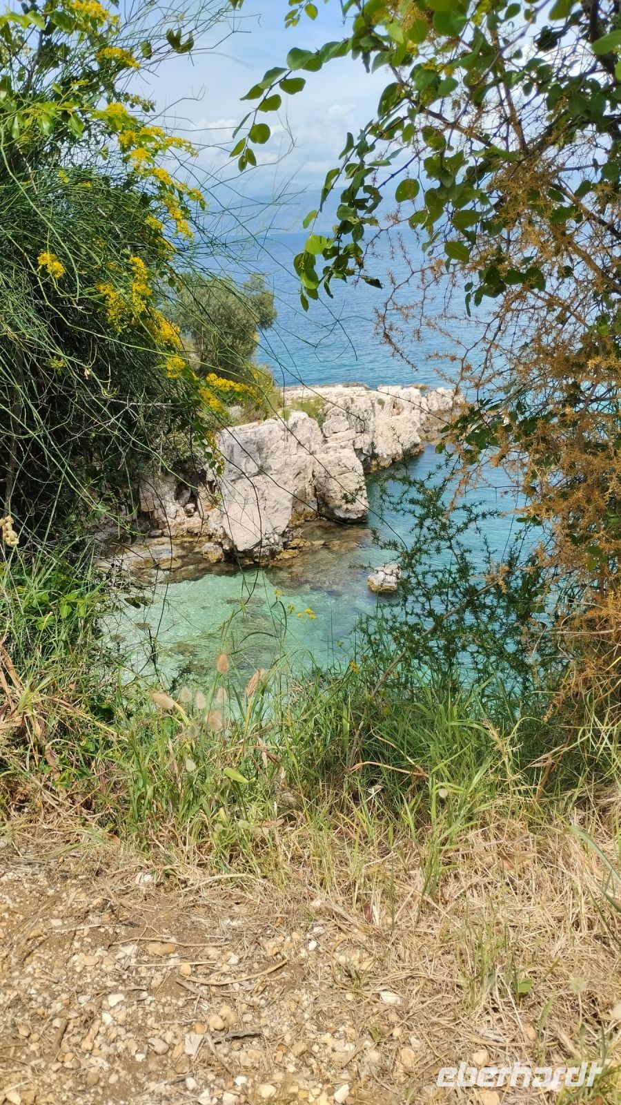 ebenda