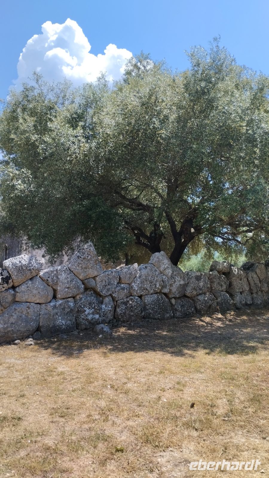 ebenda