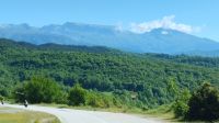 sehr dicht bewaldete Berglandschaft