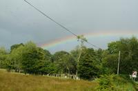 Auf der Suche nach dem Topf voll Gold