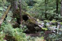 Sieht der Felsen nicht aus, wie ein Totenschädel?