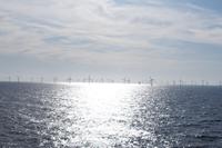Offshore Windpark
