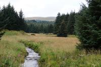 Landschaft, Carron Valley Reservoir 