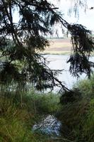 Carron Valley Reservoir