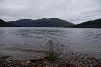 Mit etwa dieser Aussicht haben wir Mittagsrast gemacht