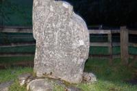 Adler-Stein in Strathpeffer