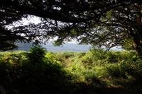 Loch Fyne bei Inveraray 
