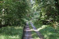 Der Weg nach Inveraray 