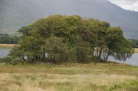 bei Kilchurn Castle am Loch Awe