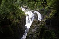 River Braan von der Hermitage Bridge aus gesehen
