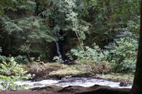 Zufluss zum River Braan