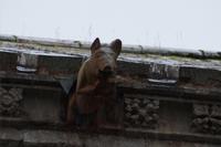 Das dudelsackspielende Schwein, Melrose Abbey 