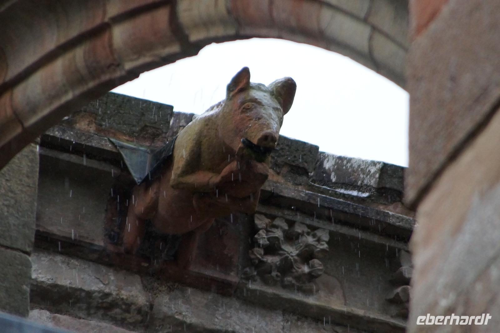 Das dudelsackspielende Schwein, Melrose Abbey 
