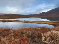 Wanderung bei Kapisillit