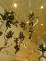 Kulturzentrum Kuusuaq