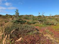 St. Anthony Fishing Point Municipal Park