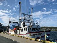 Im Hafen von St. Anthony