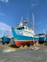 Im Hafen von St. Anthony