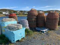 Im Hafen von St. Anthony