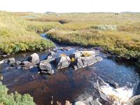 L'ans aux Meadows