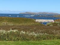 L'ans aux Meadows