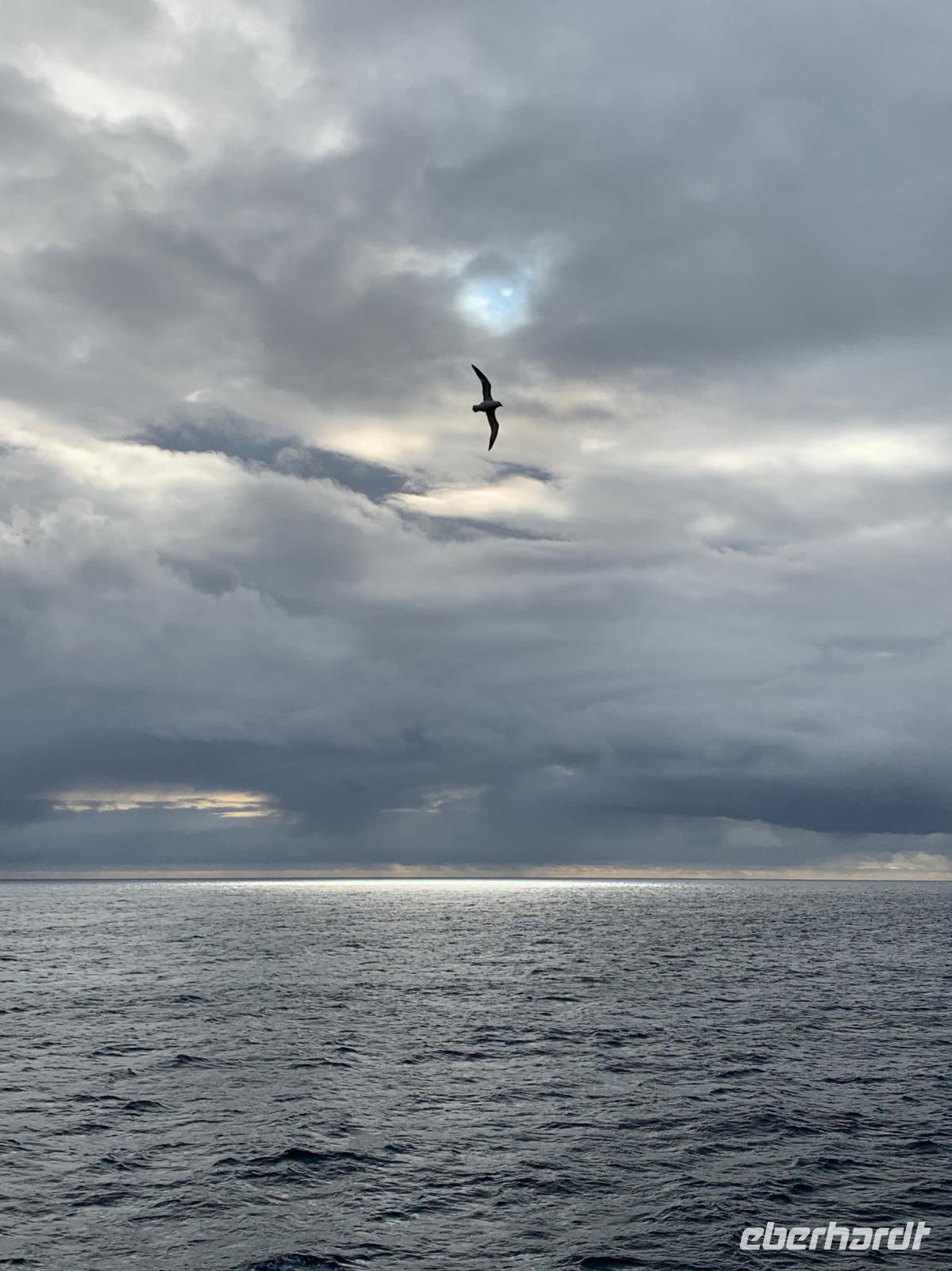 Labrador Sea