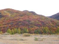 Narsarsuaq