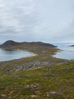 Uunartoq Insel