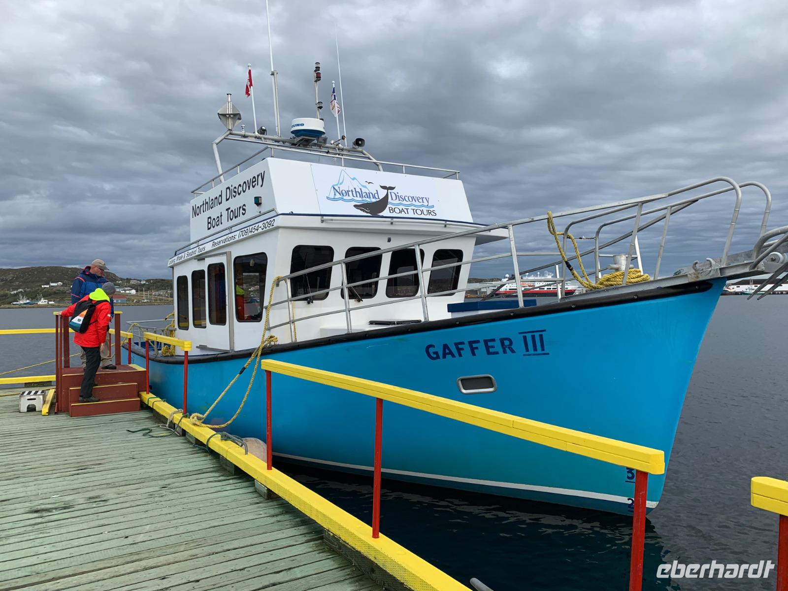 Whalewatching