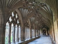 Ausflug nach Canterbury mit Kathedrale Besichtigung (10)