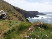 Eberhardt-Inklusiv-Ausflug Wild Atlantic Way (15)