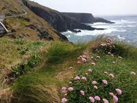 Eberhardt-Inklusiv-Ausflug Wild Atlantic Way (16)