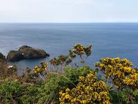 Eberhardt-Inklusiv-Ausflug mit Giant´s Causeway, Damm des Riesen in Nordirland (12)