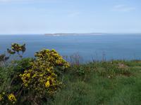 Eberhardt-Inklusiv-Ausflug mit Giant´s Causeway, Damm des Riesen in Nordirland (18)