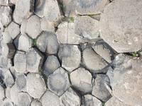 Eberhardt-Inklusiv-Ausflug mit Giant´s Causeway, Damm des Riesen in Nordirland (23)