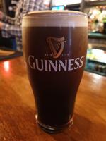 Stadtrundfahrt durch Dublin (9)