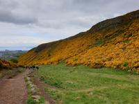 Stadtrundfahrt nach Edinburgh auf eigene Faust (37)
