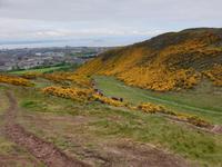 Stadtrundfahrt nach Edinburgh auf eigene Faust (47)