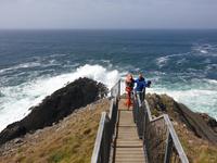 Eberhardt-Inklusiv-Ausflug Wild Atlantic Way (17)