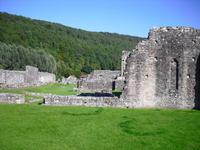 Tintern Abbey