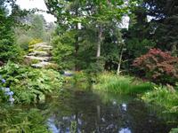 Bodnant Garden