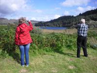 Fotostopp am Llyn Mymbyr