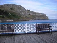 Great Ormes in Llandudno