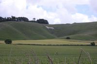 White Horse bei Avebury