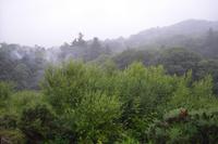 Fahrt mit der Welsh Highland Railway