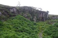 Panoramatour durch die Snowdonia Mountains