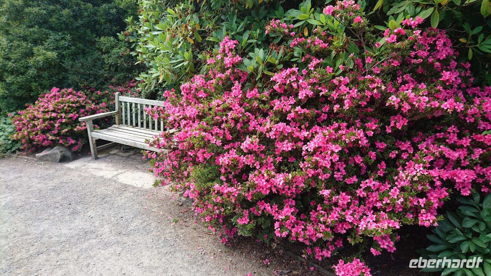 Verschwiegene Orte im Bodnant Garden