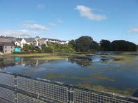 Fluss am Pembroke Castle